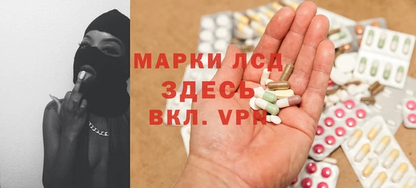 индика Бугульма