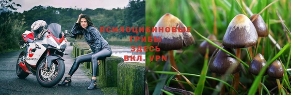 стафф Волоколамск