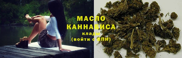 индика Бугульма