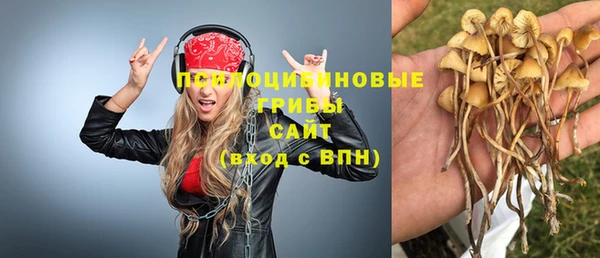 амфетамин Богородицк