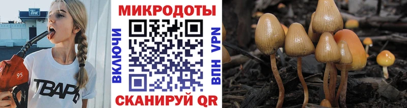 как найти закладки  Заозёрный  omg ТОР  Псилоцибиновые грибы Psilocybe 