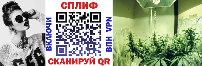 Канабис сатива  гидра   Заозёрный  купить наркотики цена 